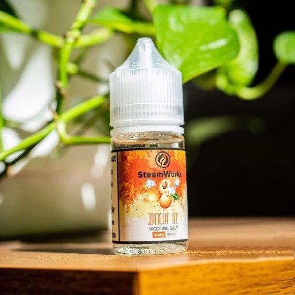 SALTNIC STEAMWORKS JUICE